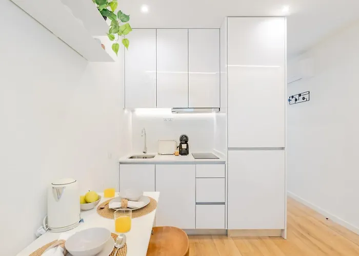 Dash | 111 Collection Oporto