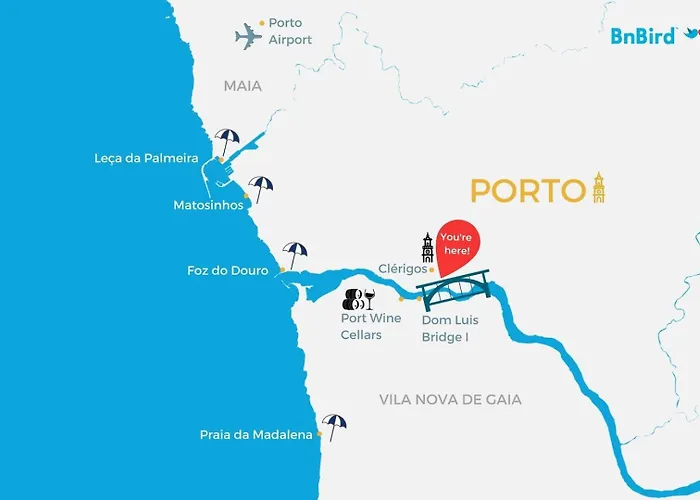 Dash | 111 Collection *