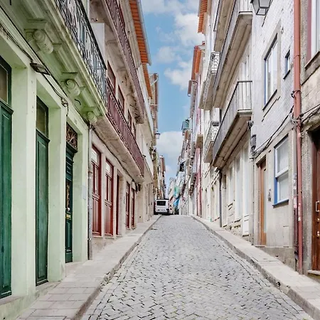 Dash 111 Collection *