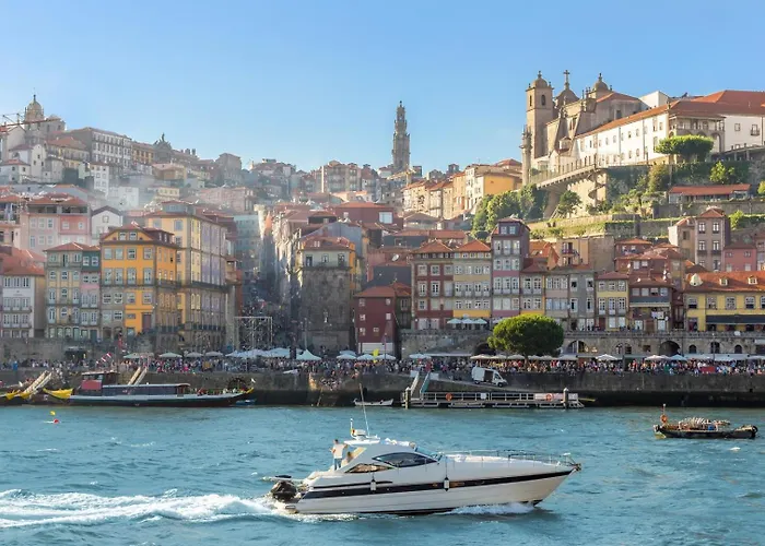 Dash | 111 Collection Porto