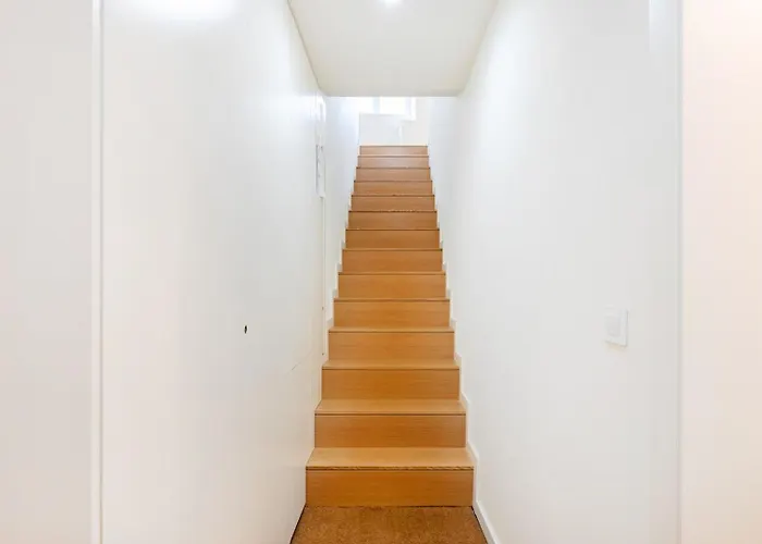 Dash | 111 Collection Appartement *